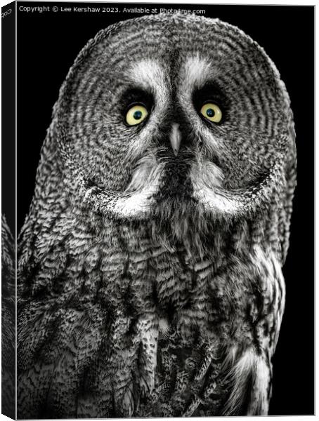 Watching You Canvas Print by Lee Kershaw