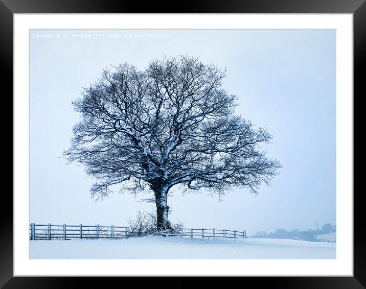 A solitary Tree in a Sparse Winter Wonderland Framed Mounted Print by Lee Kershaw