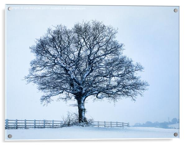 A solitary Tree in a Sparse Winter Wonderland Acrylic by Lee Kershaw