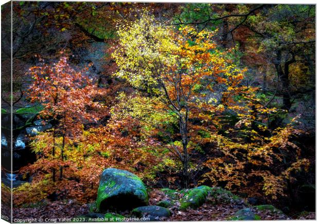 Padley Gorge Autumn Colours Canvas Print by Craig Yates
