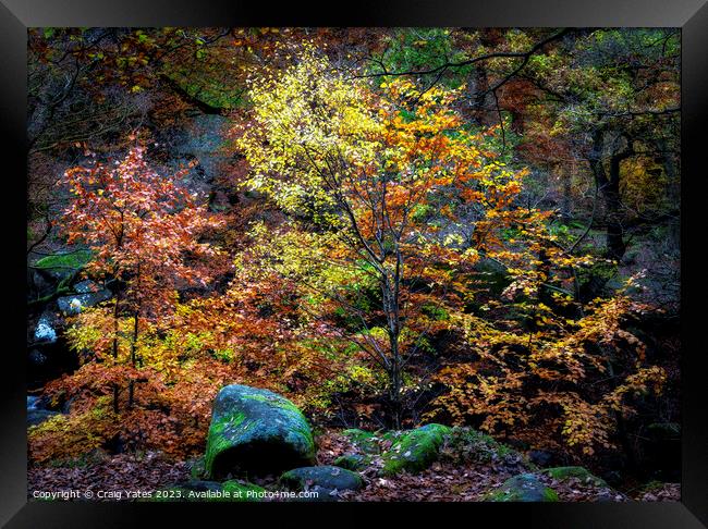Padley Gorge Autumn Colours Framed Print by Craig Yates