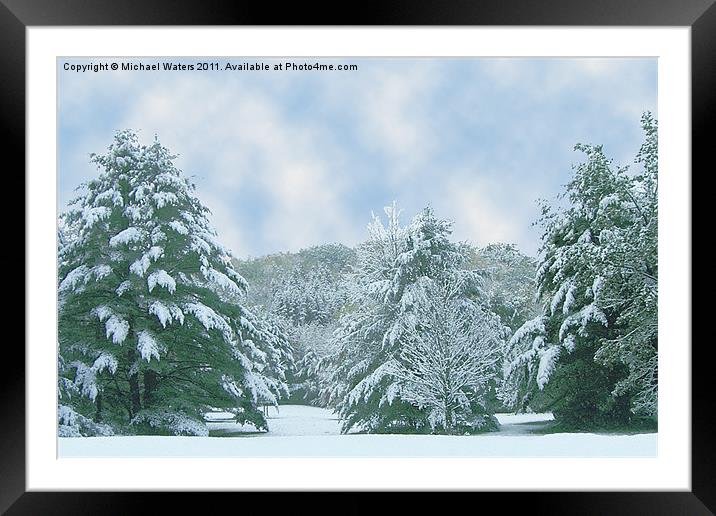 Winter Wonderland in the South Framed Mounted Print by Michael Waters Photography