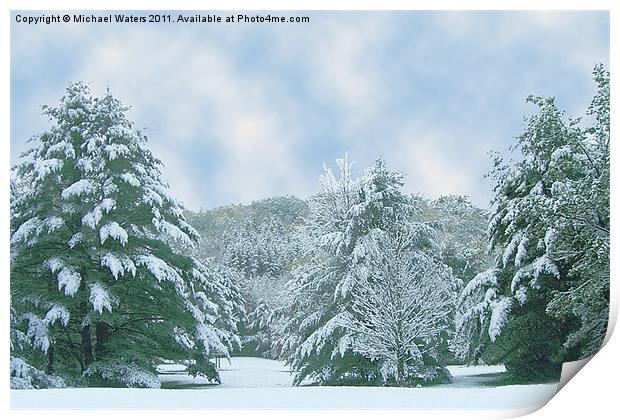 Winter Wonderland in the South Print by Michael Waters Photography