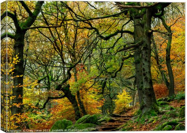 Padley Gorge Autumn Colours. Canvas Print by Craig Yates