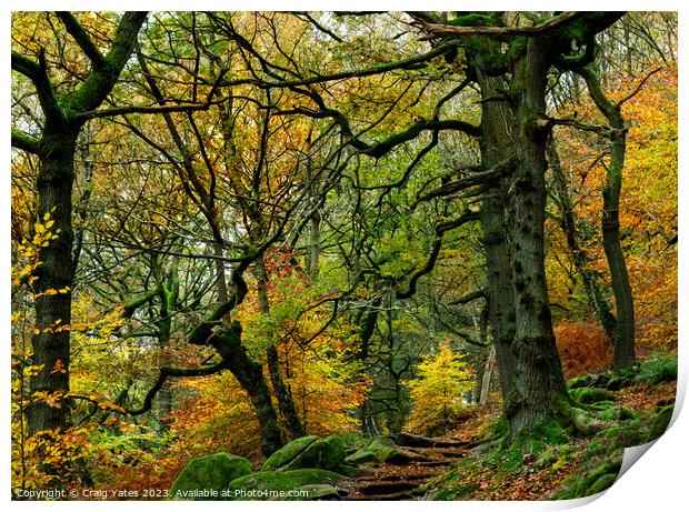 Padley Gorge Autumn Colours. Print by Craig Yates