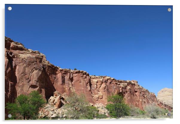 Capitol Reef national park Utah Acrylic by Arun 