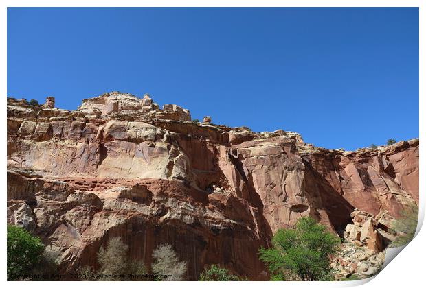 Capitol Reef national park Utah Print by Arun 