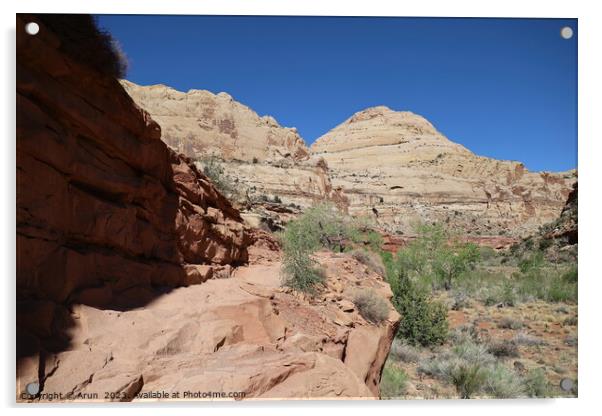 Capitol Reef national park Utah Acrylic by Arun 