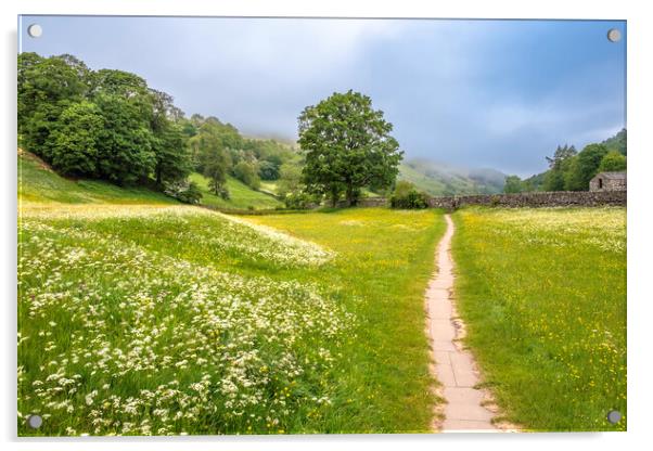 Muker Meadows Acrylic by Steve Smith