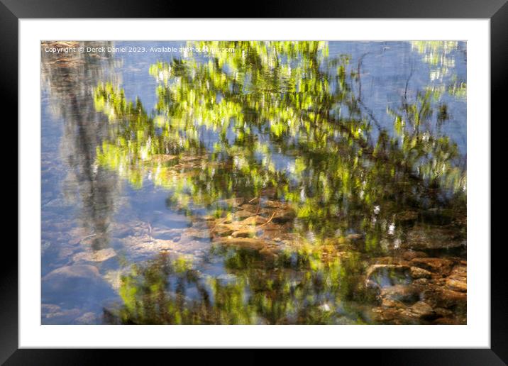 Leaf Reflection, Yosemite Framed Mounted Print by Derek Daniel