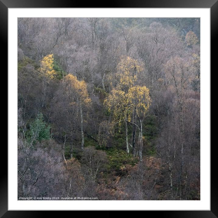 Trossachs autumn Framed Mounted Print by Kay Roxby