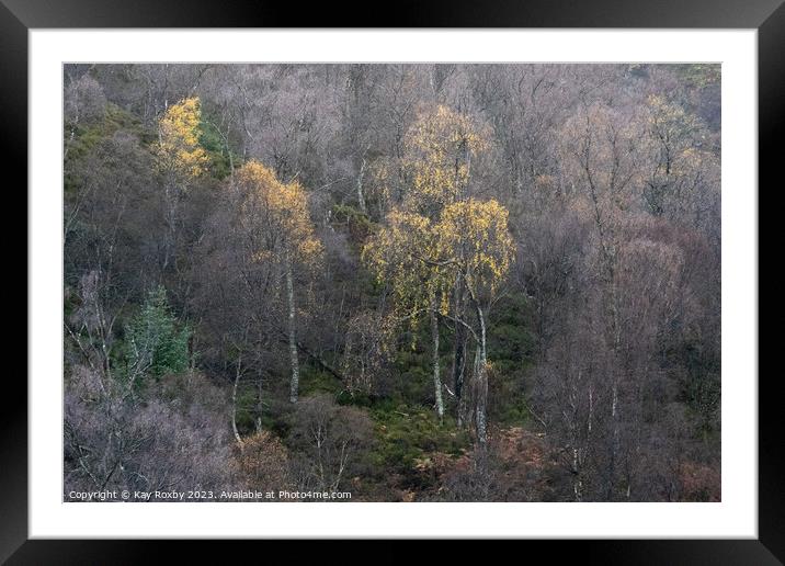 Trossachs autumn Framed Mounted Print by Kay Roxby