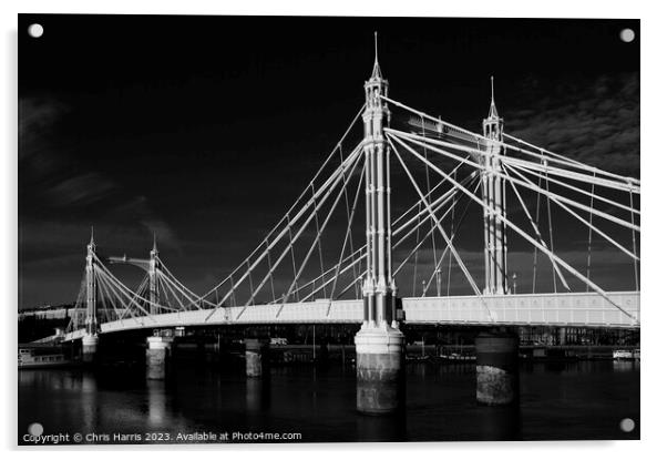 Albert Bridge, London Acrylic by Chris Harris