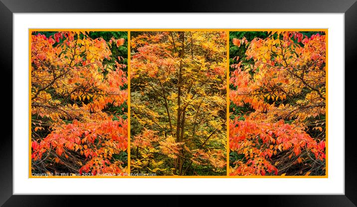 Autumn Leaf Colour Triptych Panel Framed Mounted Print by Phil Lane