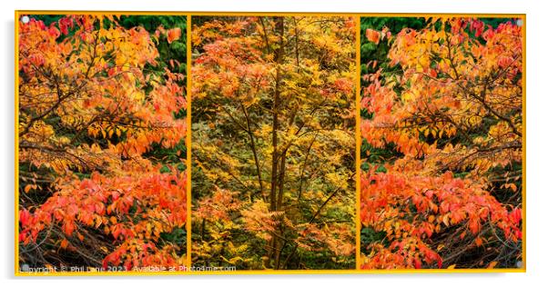 Autumn Leaf Colour Triptych Panel Acrylic by Phil Lane