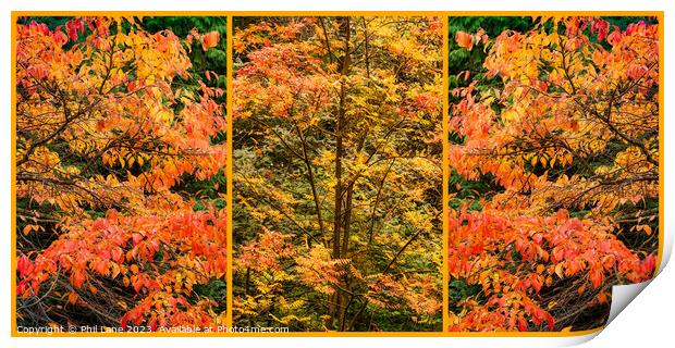 Autumn Leaf Colour Triptych Panel Print by Phil Lane
