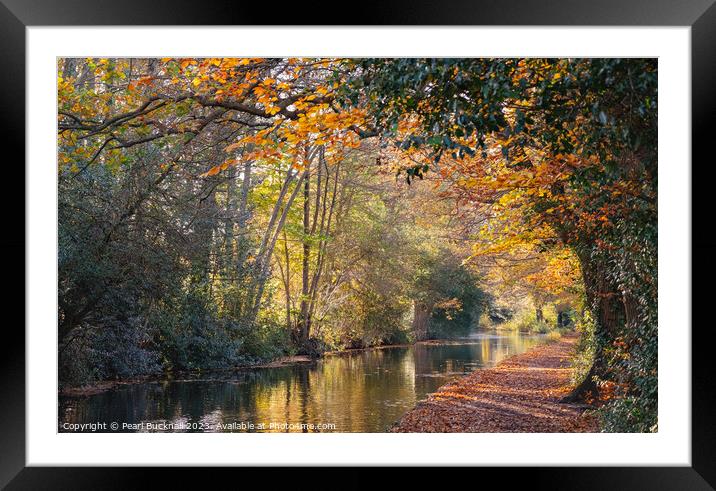 Autumn Colours on the Basingstoke Canal Framed Mounted Print by Pearl Bucknall