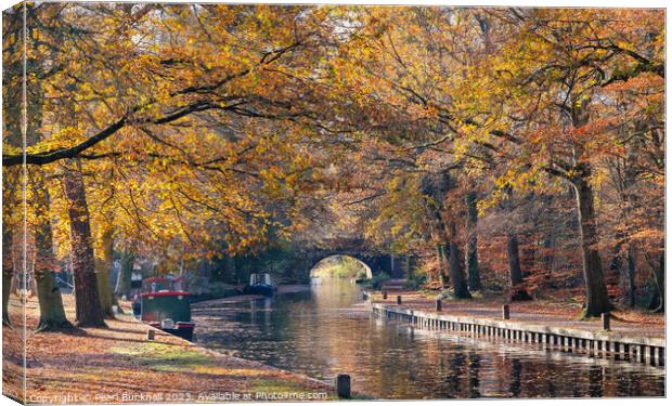 Autumn Colours on the Basingstoke Canal Canvas Print by Pearl Bucknall