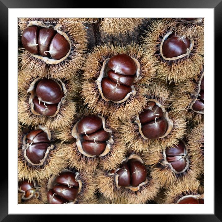Sweet Chestnuts Framed Mounted Print by Kay Roxby