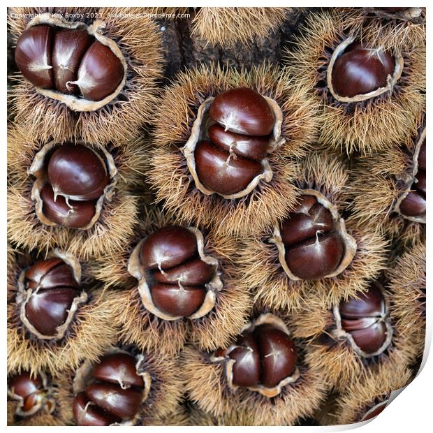 Sweet Chestnuts Print by Kay Roxby