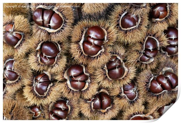 Sweet Chestnuts Print by Kay Roxby