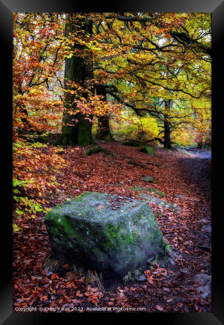 Autumn in Padley Gorge Peak District. Framed Print by Craig Yates