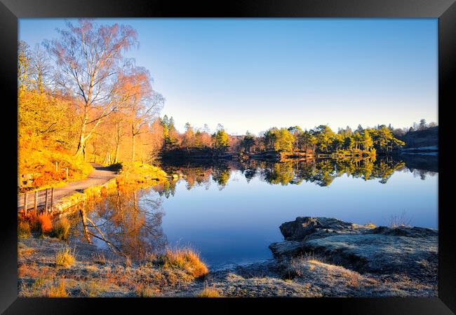 Tarn Hows: November Sunshine Framed Print by Tim Hill