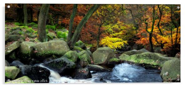 Autumn in Padley Gorge Peak District. Acrylic by Craig Yates