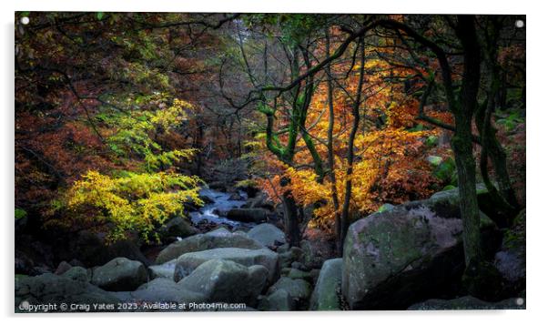 Padley Gorge Autumn Colours. Acrylic by Craig Yates