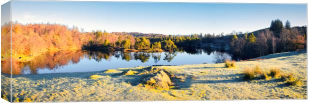 Tarn Hows: November Sunshine Panoramic Canvas Print by Tim Hill