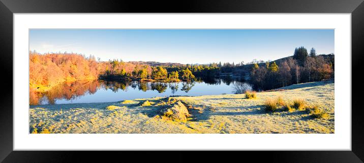 Tarn Hows: November Sunshine Panoramic Framed Mounted Print by Tim Hill