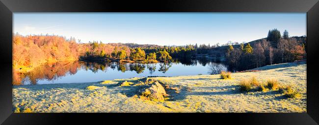 Tarn Hows: November Sunshine Panoramic Framed Print by Tim Hill