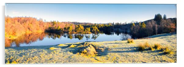 Tarn Hows: November Sunshine Panoramic Acrylic by Tim Hill