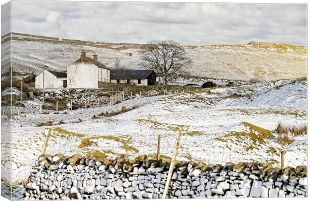 Winter Landscape Scene in North Pennines AONB Canvas Print by Martyn Arnold