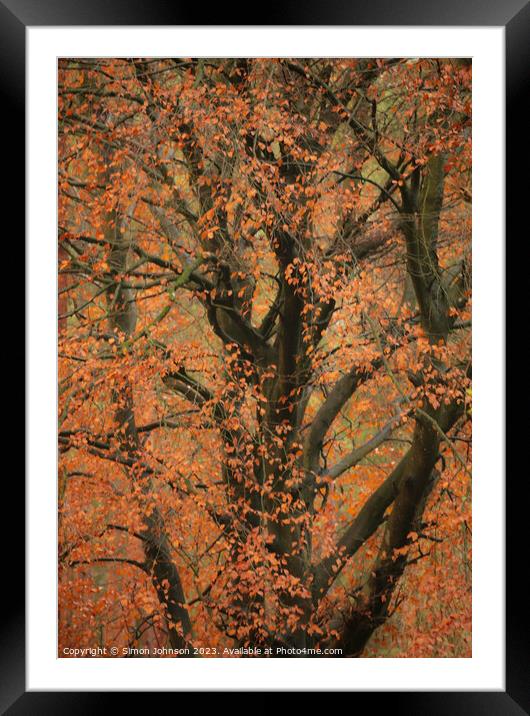 Autumn leaves  Framed Mounted Print by Simon Johnson