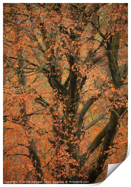 Autumn leaves  Print by Simon Johnson