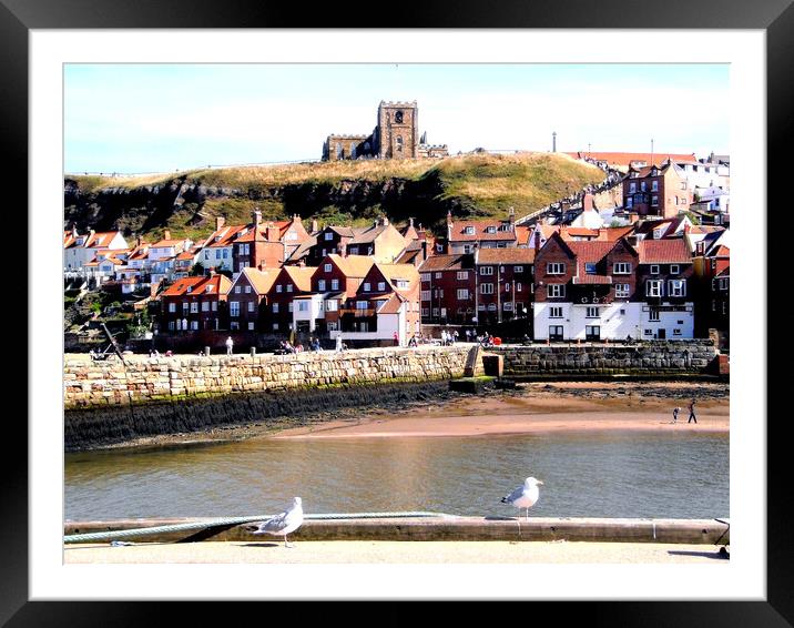 St.Mary's church, Whitby, Yorkshire. Framed Mounted Print by john hill