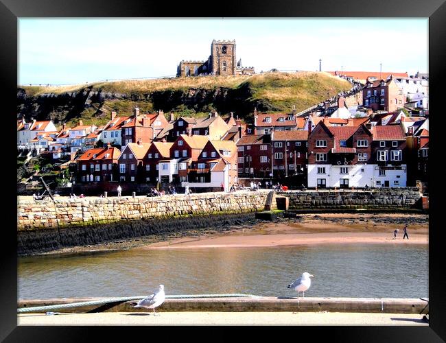 St.Mary's church, Whitby, Yorkshire. Framed Print by john hill