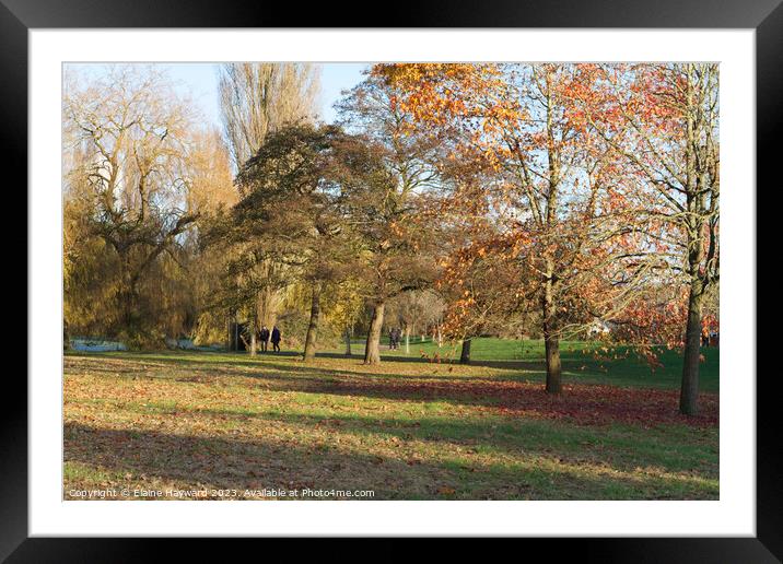 Autumn in Castle Park Colchester  Framed Mounted Print by Elaine Hayward