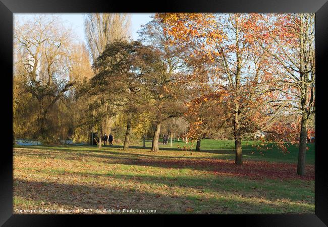 Autumn in Castle Park Colchester  Framed Print by Elaine Hayward