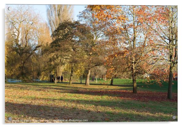 Autumn in Castle Park Colchester  Acrylic by Elaine Hayward