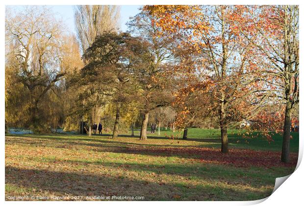 Autumn in Castle Park Colchester  Print by Elaine Hayward