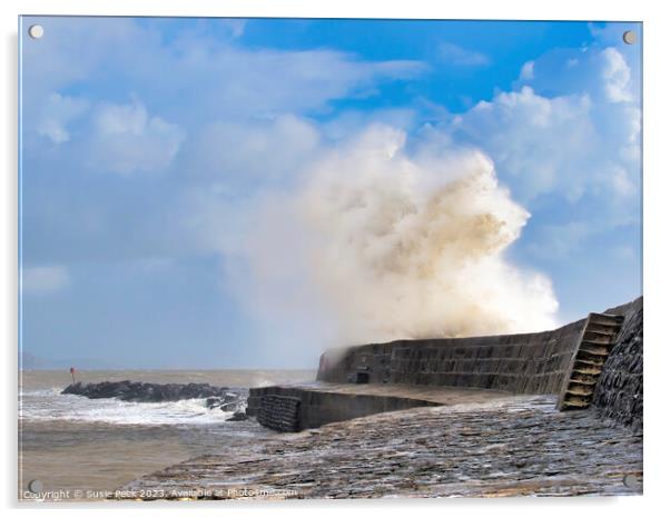 Storm Ciarán at Lyme Regis November 2023 Acrylic by Susie Peek