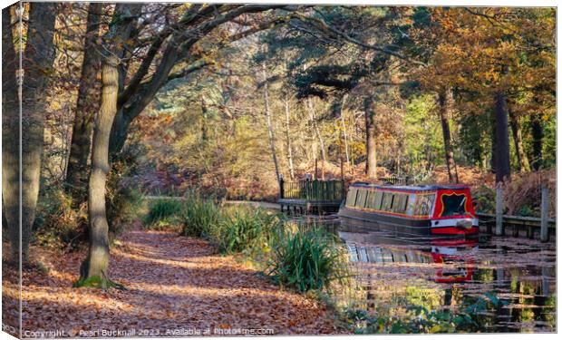 Canal Boat on the Basingstoke Canal in Autumn Canvas Print by Pearl Bucknall