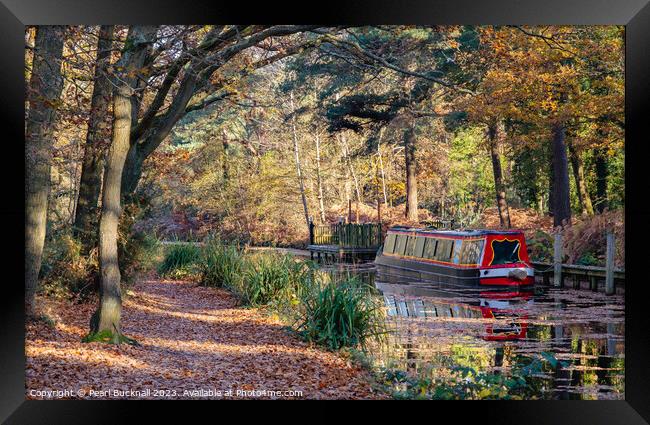 Canal Boat on the Basingstoke Canal in Autumn Framed Print by Pearl Bucknall