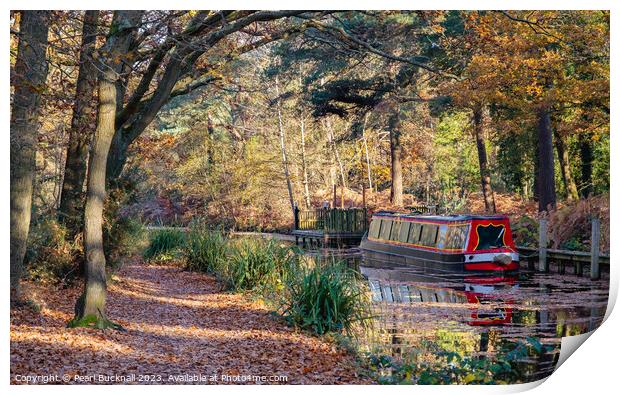 Canal Boat on the Basingstoke Canal in Autumn Print by Pearl Bucknall