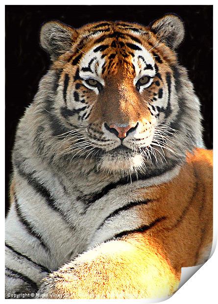 Tiger Boy Print by Nicky Vines