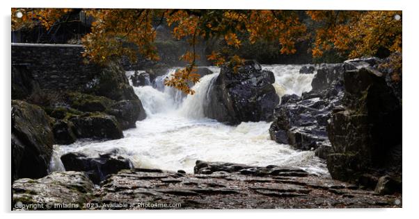Pont-y-Pair Falls, Betws-y-Coed, Wales Acrylic by Imladris 