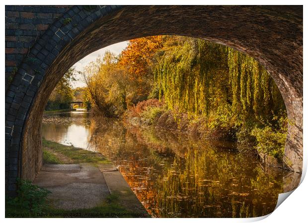 Autumn on the Grand Union Canal Print by Dave Bowman
