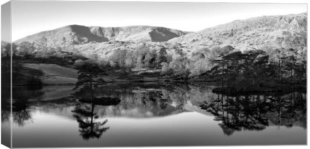 Tarn Hows Reflections Black and White Canvas Print by Tim Hill